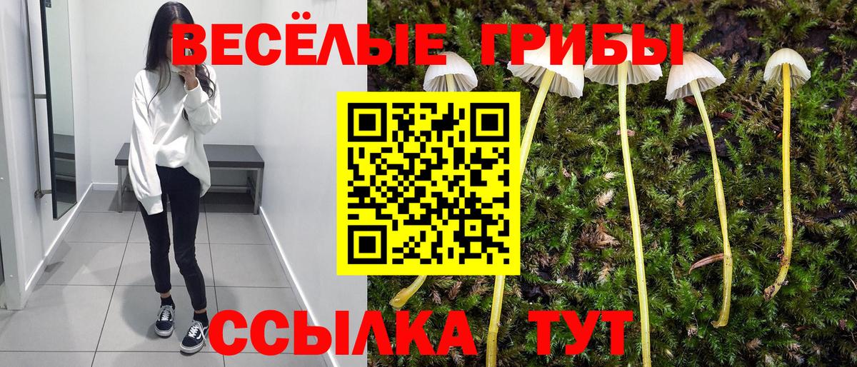 Псилоцибиновые грибы Psilocybe Фролово